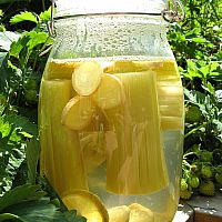 Recept p Rabarbersaft