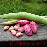 Blomsterbnor